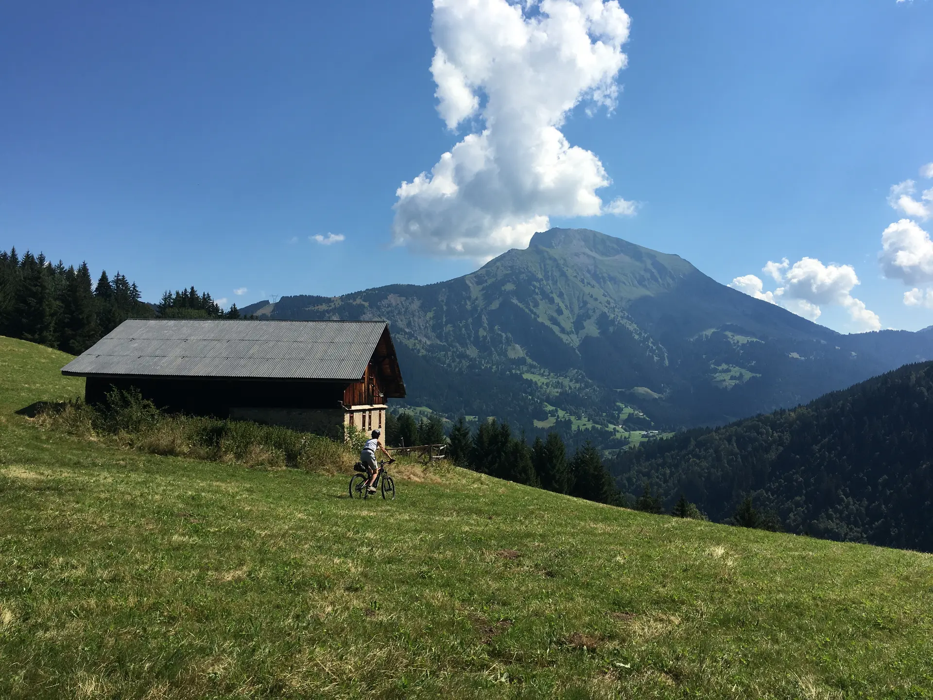 Chalets de l'Essert - Abondance