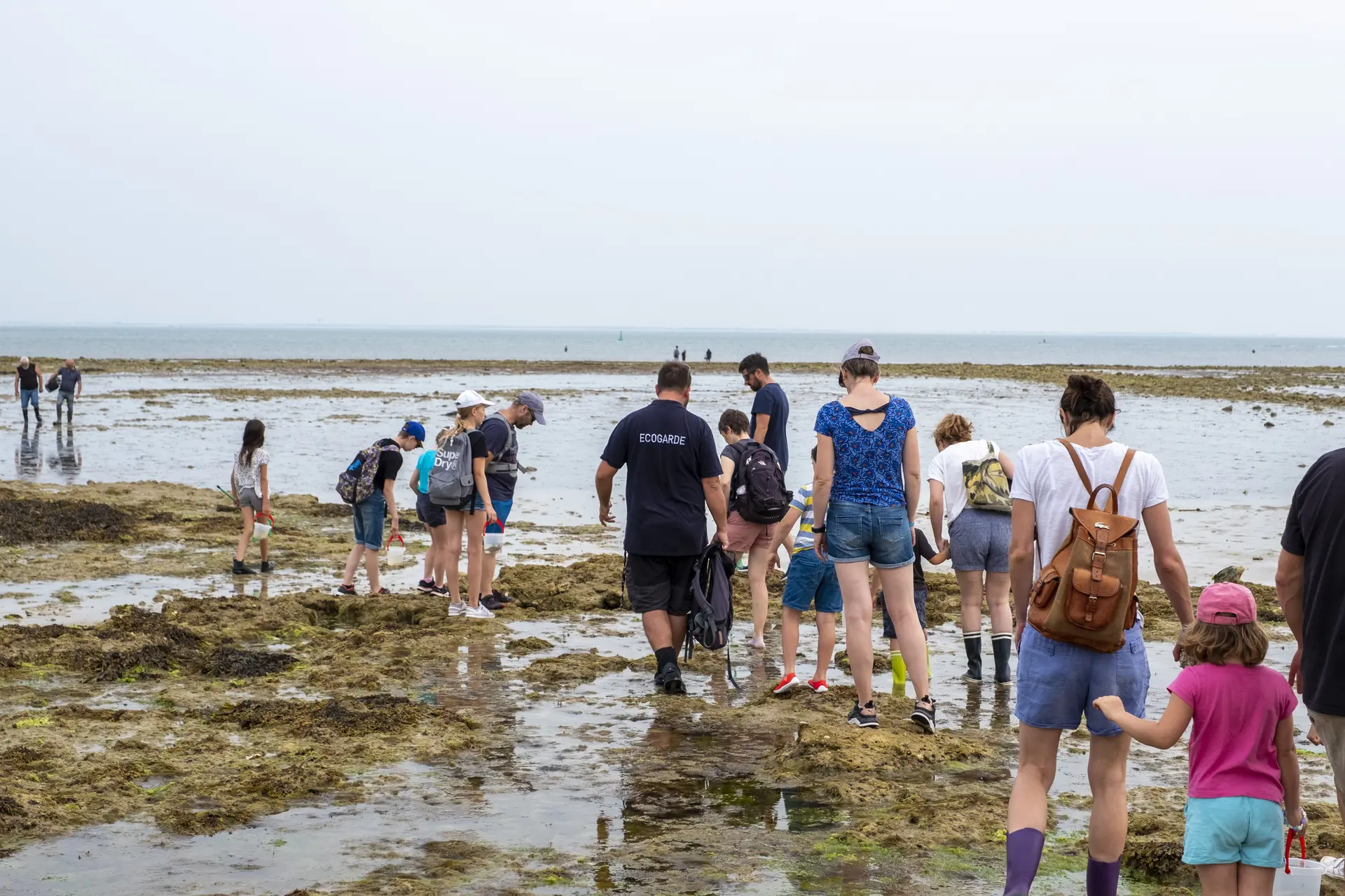 Sortie nature avec un écogarde - Estrange_Le Bois-Plage-en-Ré