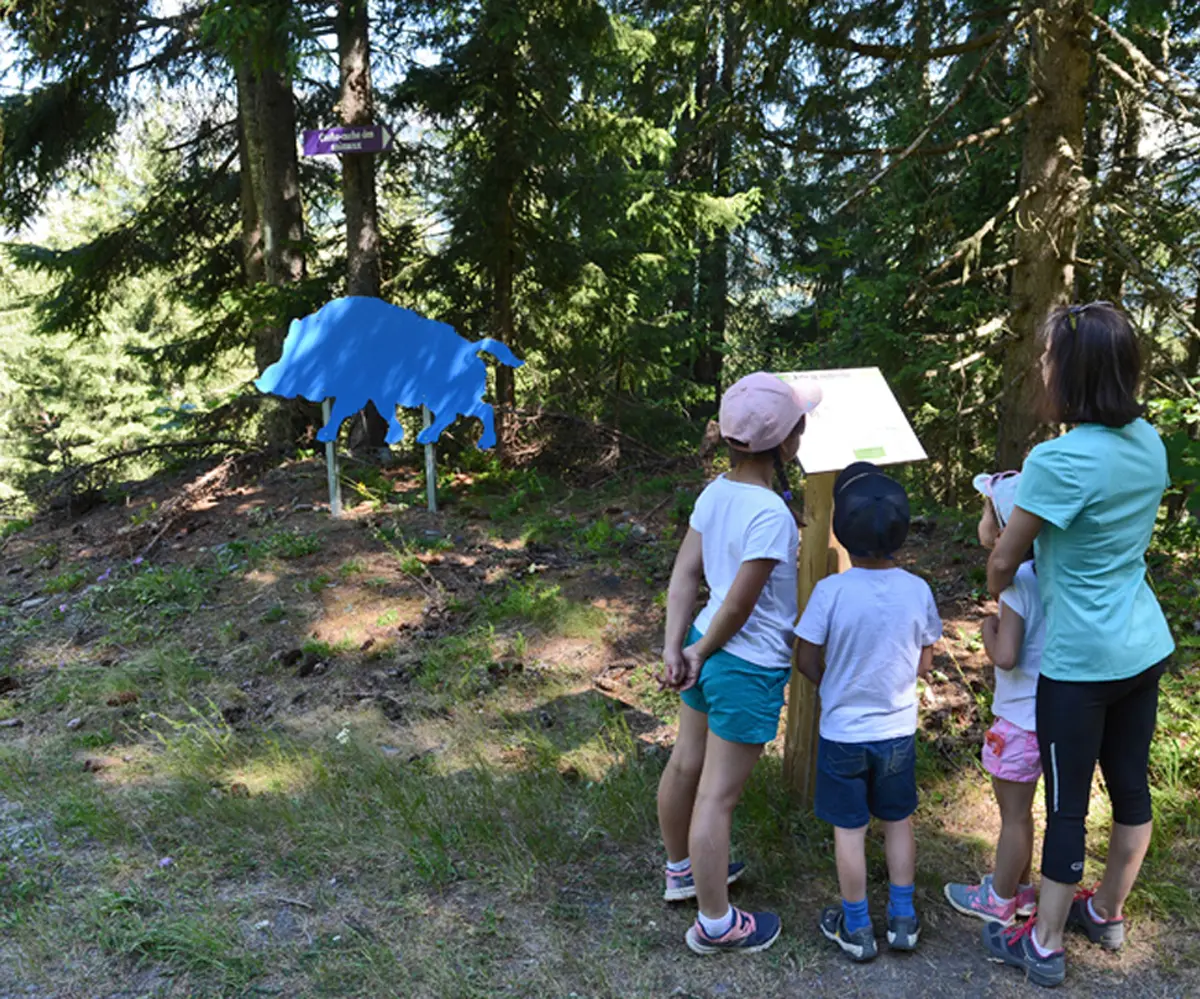 Parcours Cache-cache des animaux