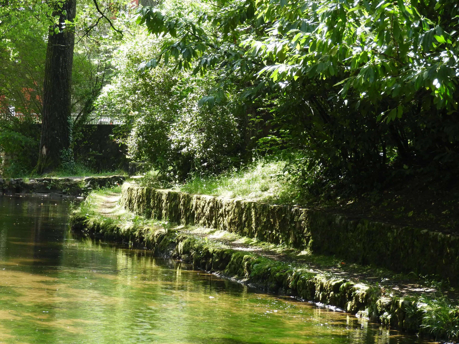 Parc du Teich