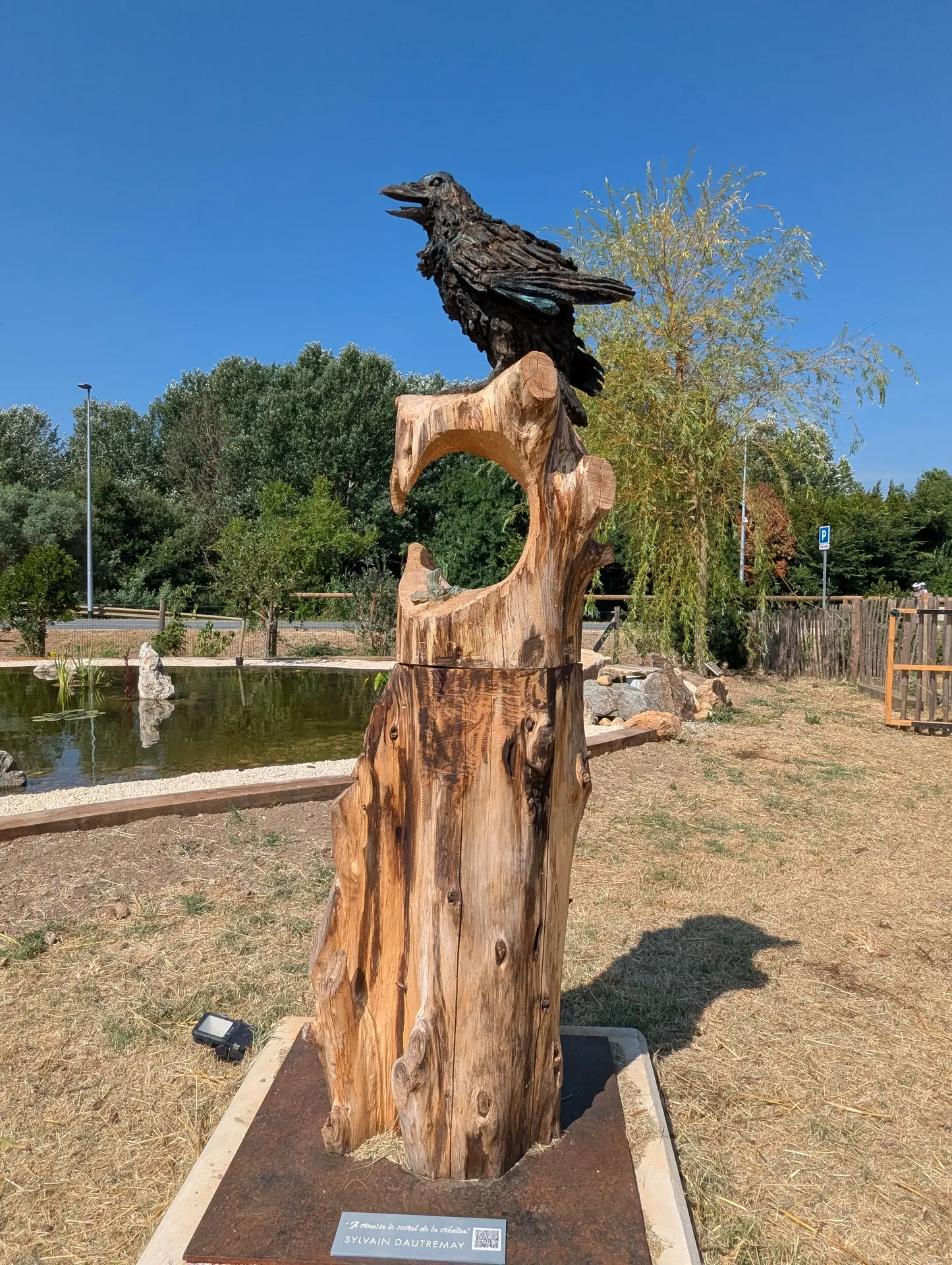 Il croasse le secret de la Création - sculpture à la tronçonneuse - cyprès
