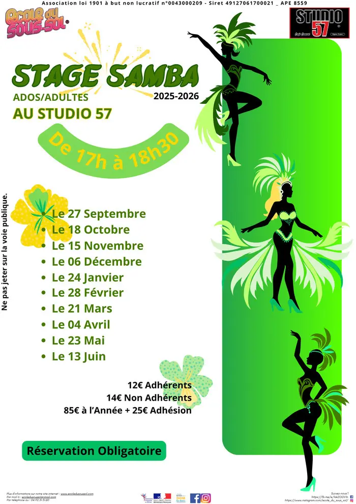 Stage de samba