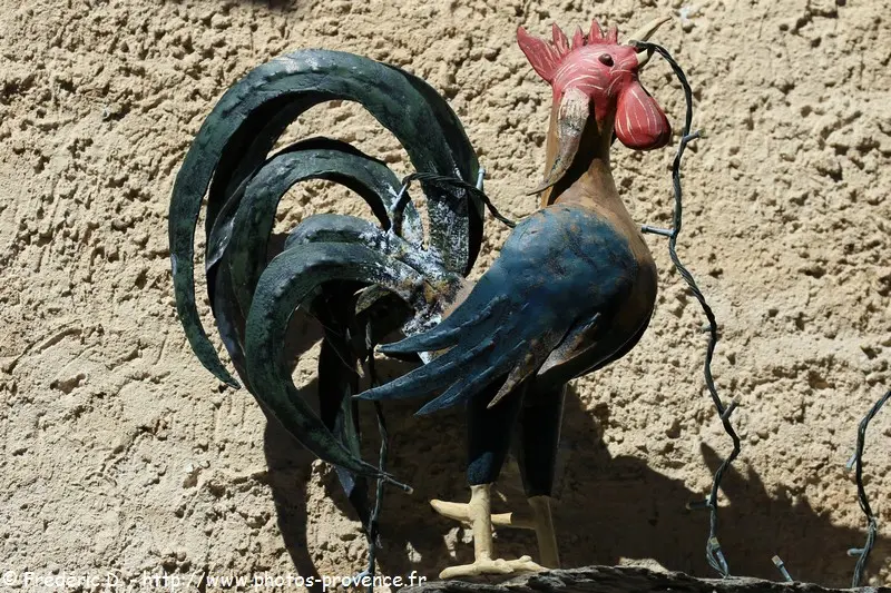 Coq