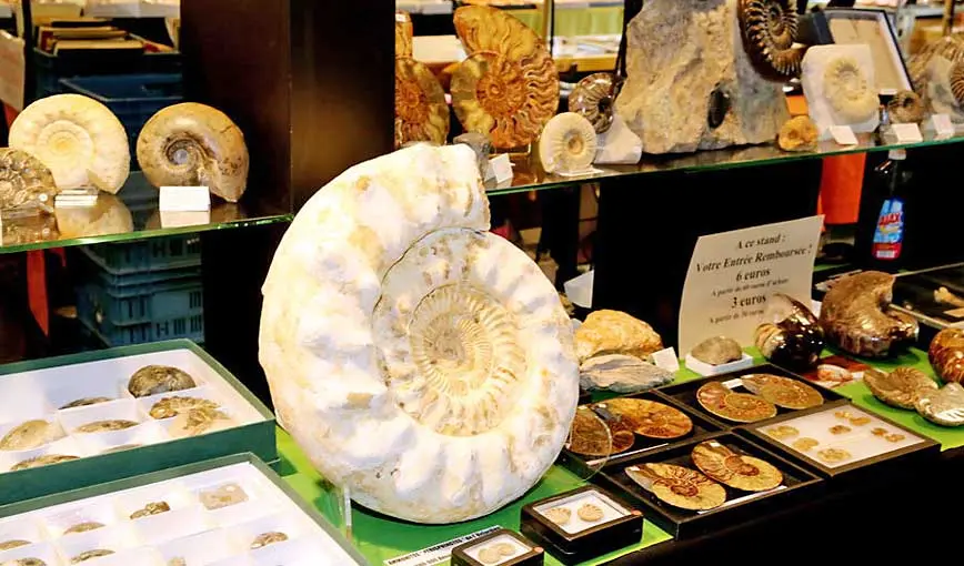Salon Minéraux, Fossiles, Gemmes & Bijoux
