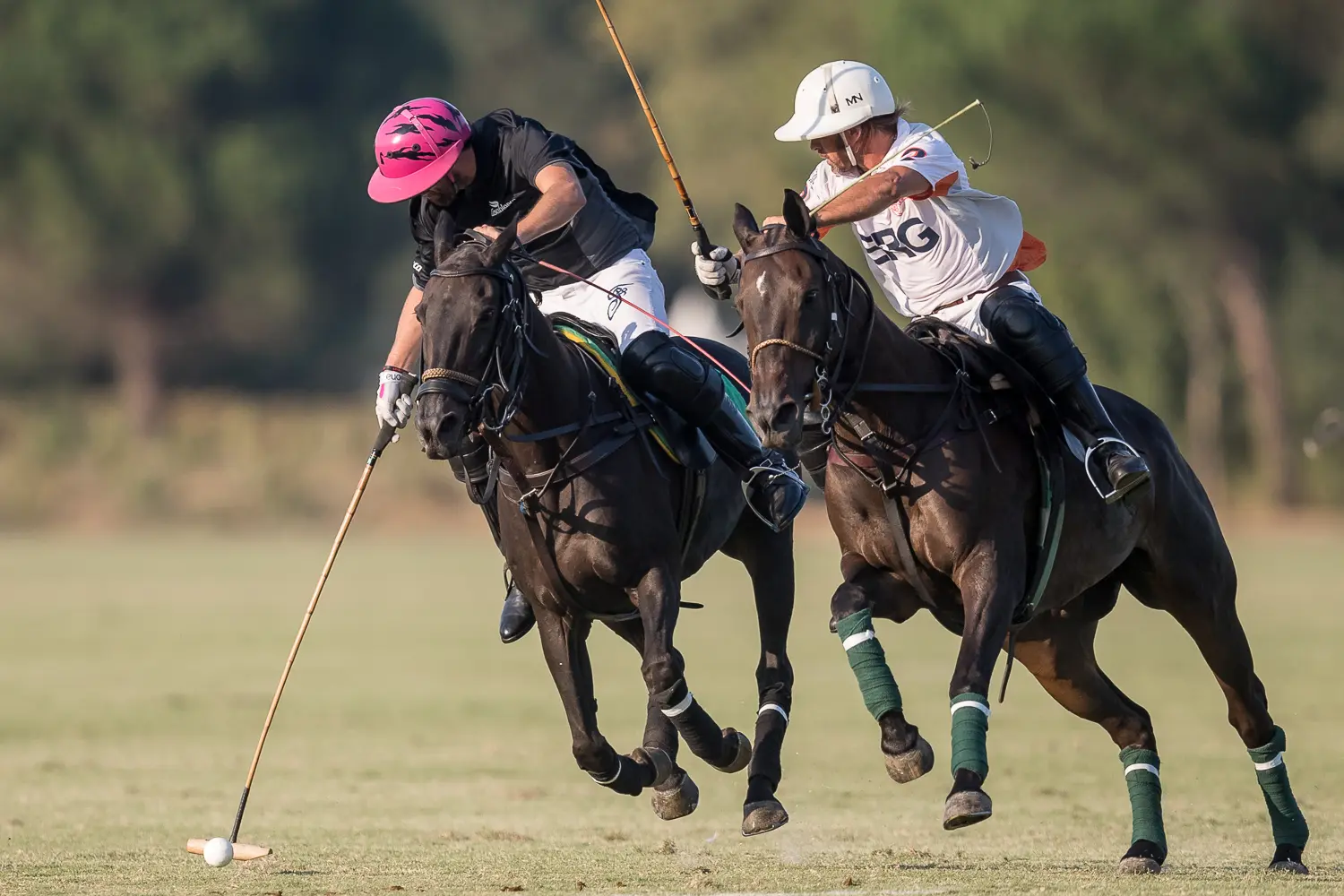 polo