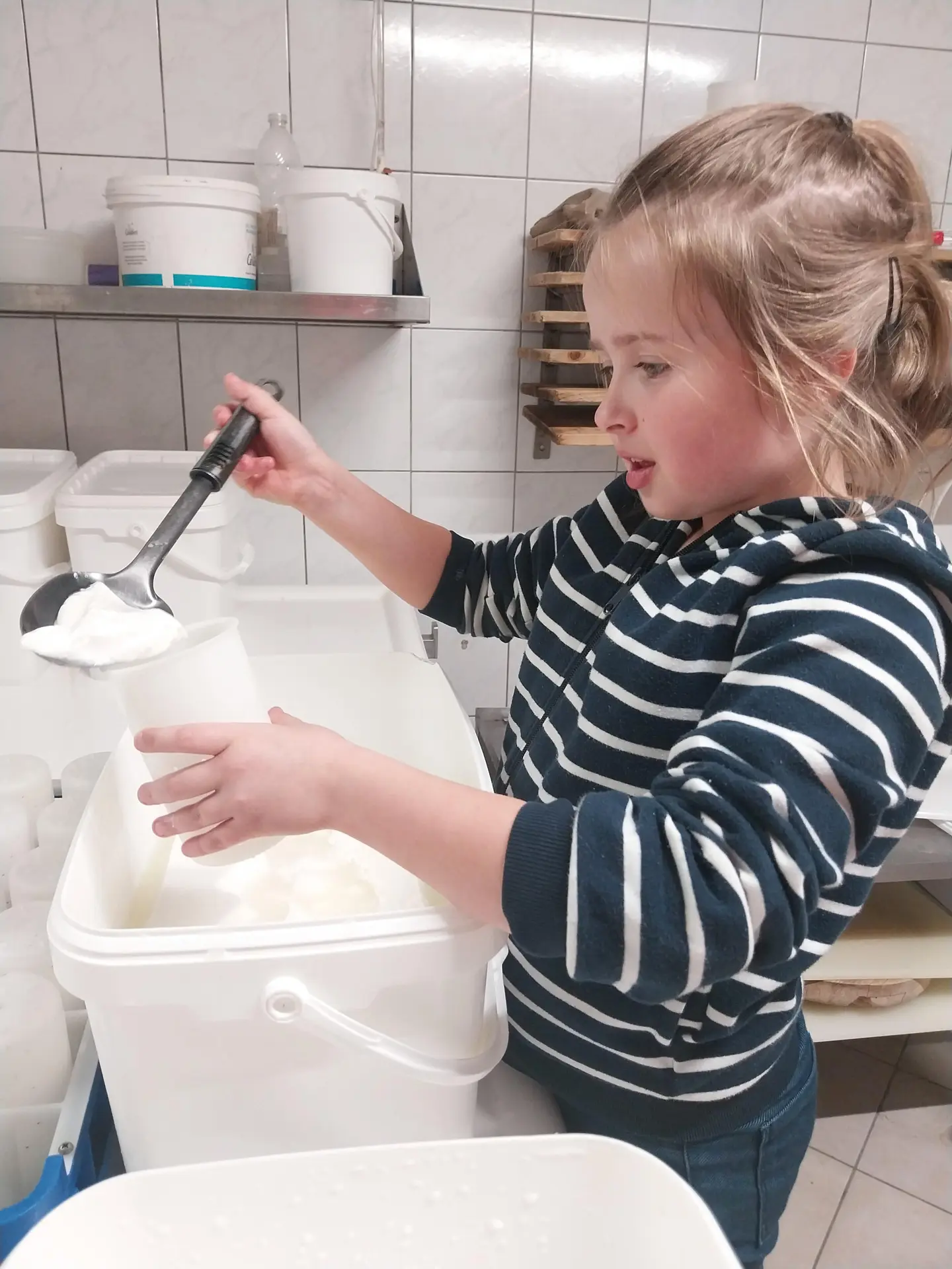 A la découverte de la fabrication des fromages de chèvre