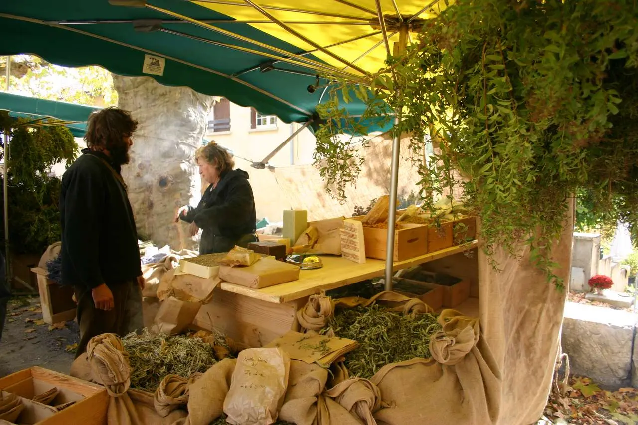 Plantes aromatiques