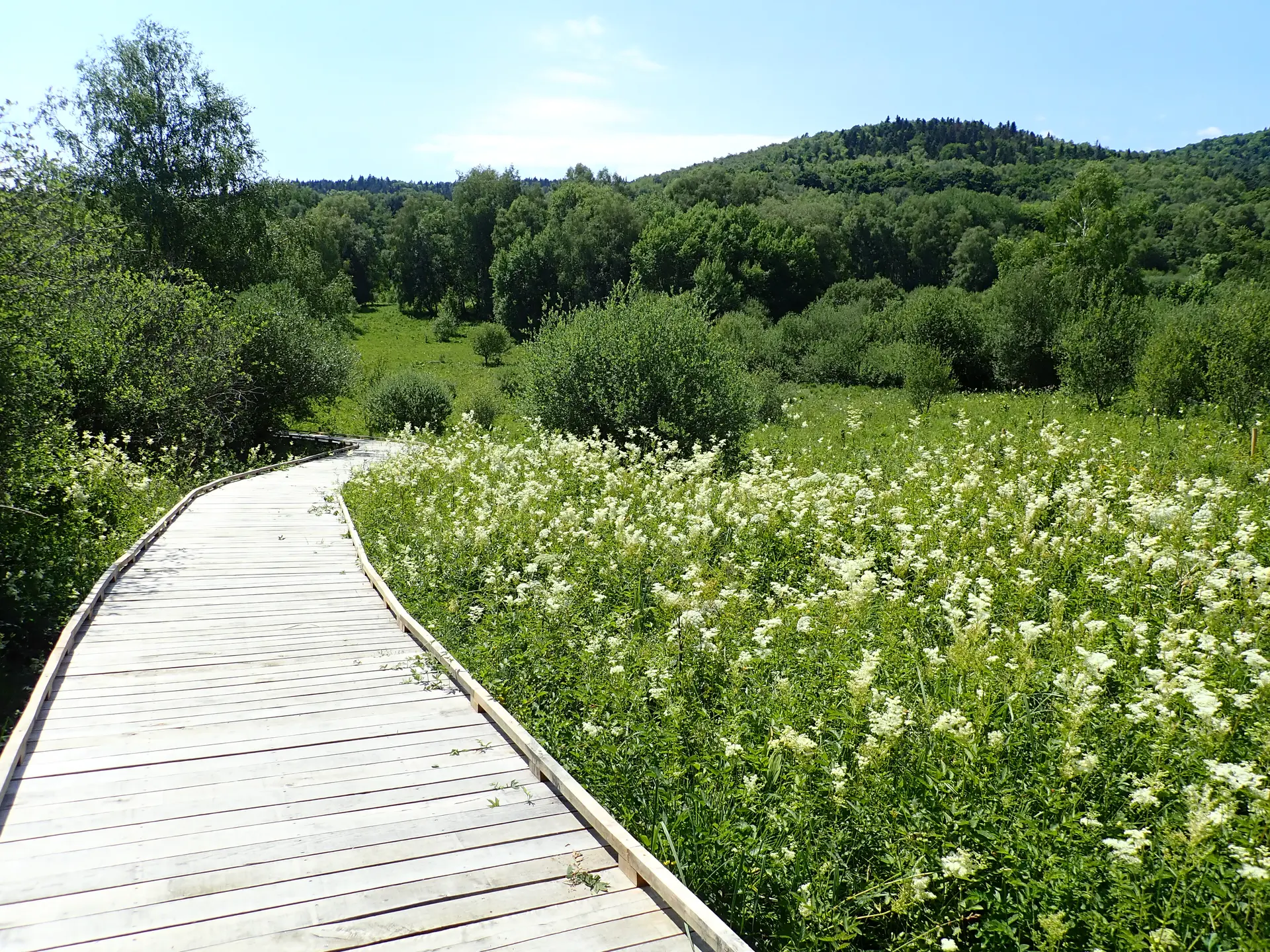 Sentier de Noubals zone humide