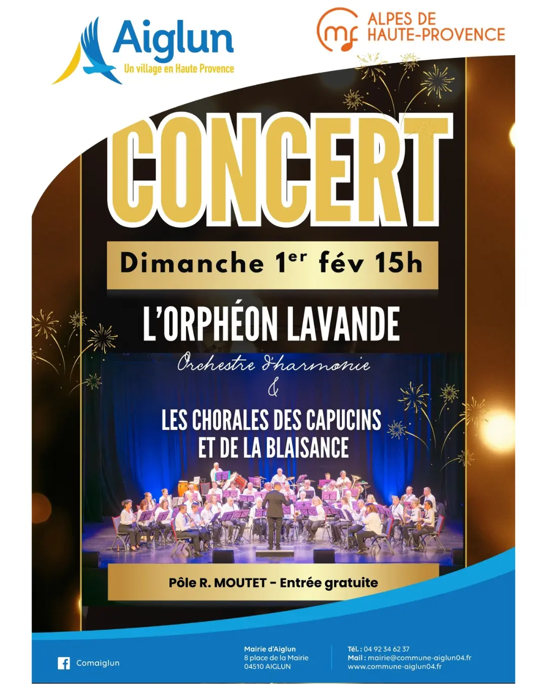 Affiche du concert