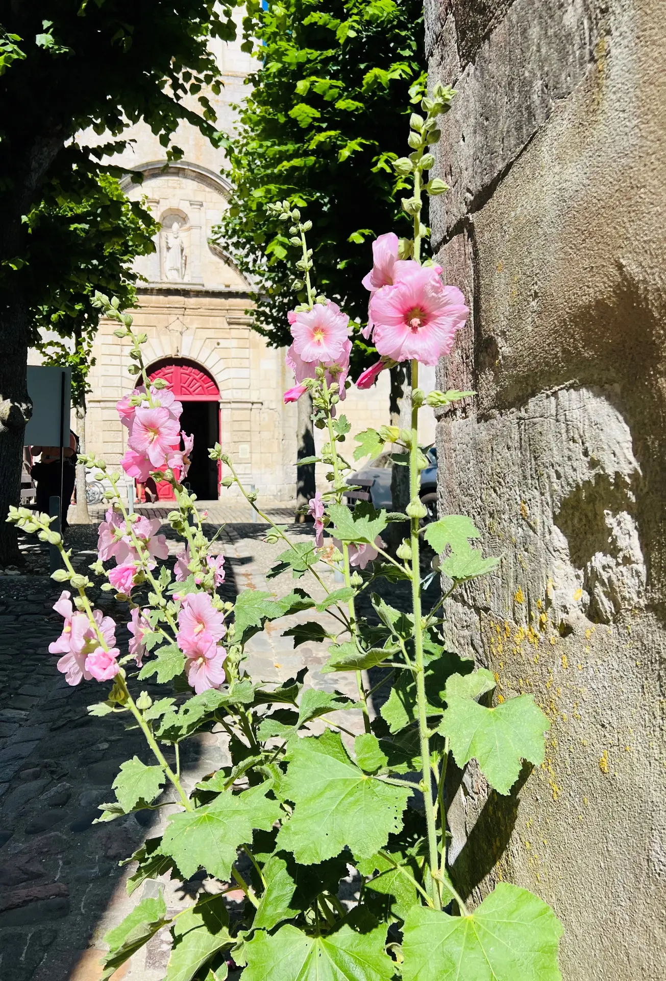 Geführte Tour St-Martin de ré