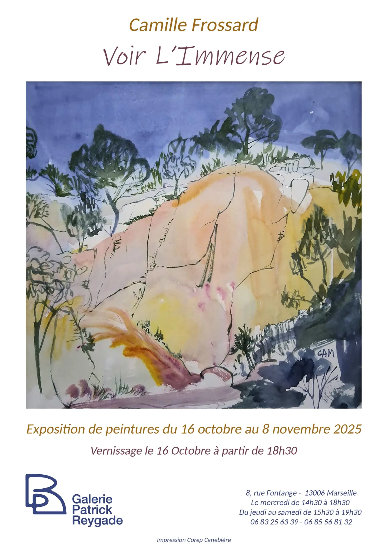 Exposition Voir l'immense