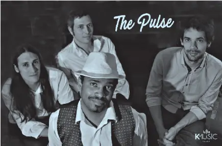 Concert by the pop-rock-funk-disco band: The Pulse_La Flotte