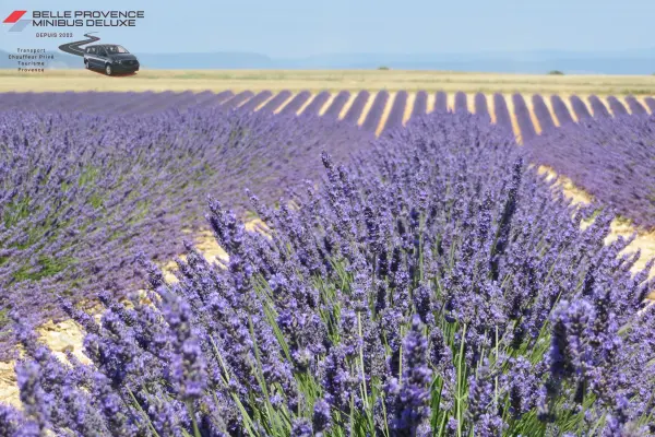 Stage Photo en mini-groupe en  Provence