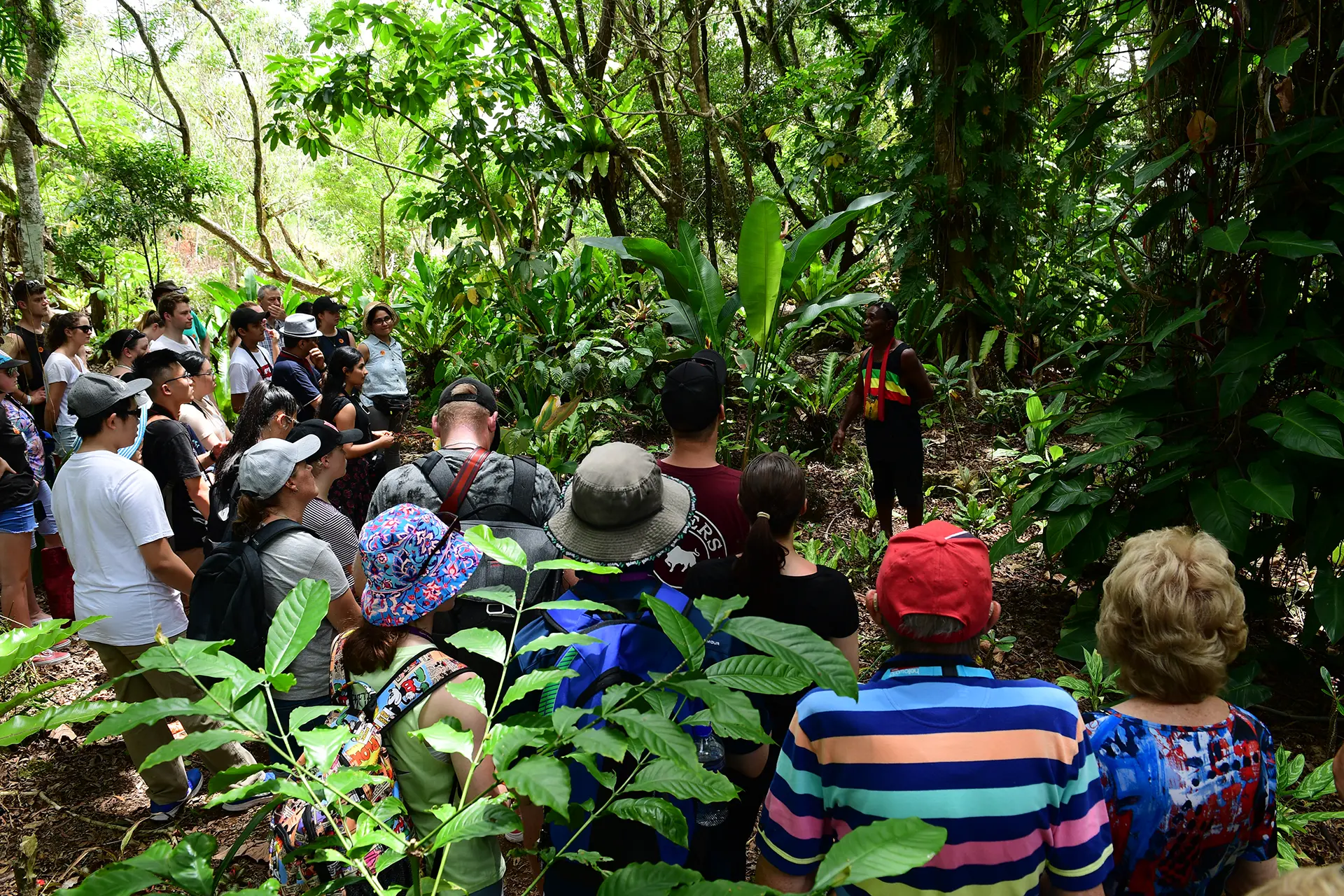 Vanilla plantation visit