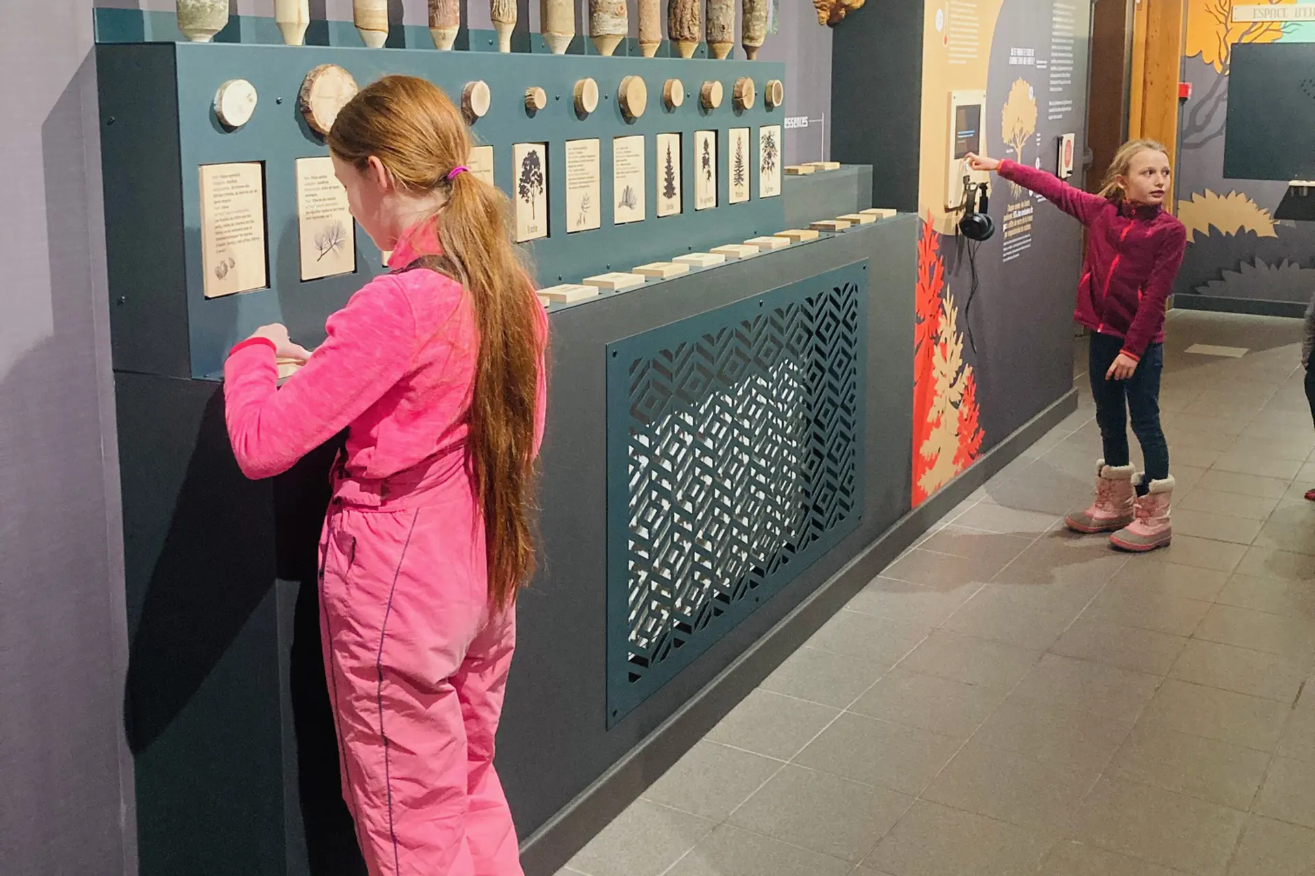 Enquête à la Maison du Bois