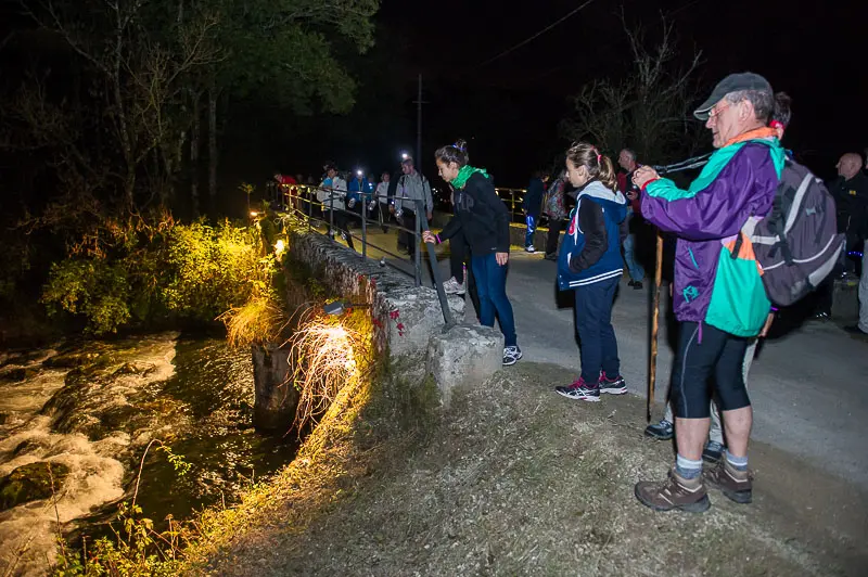 Ronde des sangliers à Saint Martin du Fresne