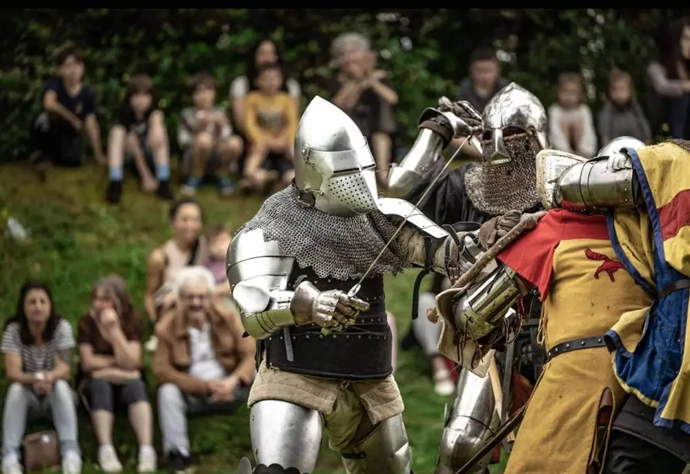 spectacle de fauconnerie + dragons occitans