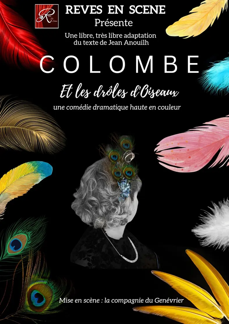 Colombe et les drôles d'oiseaux_Avignon