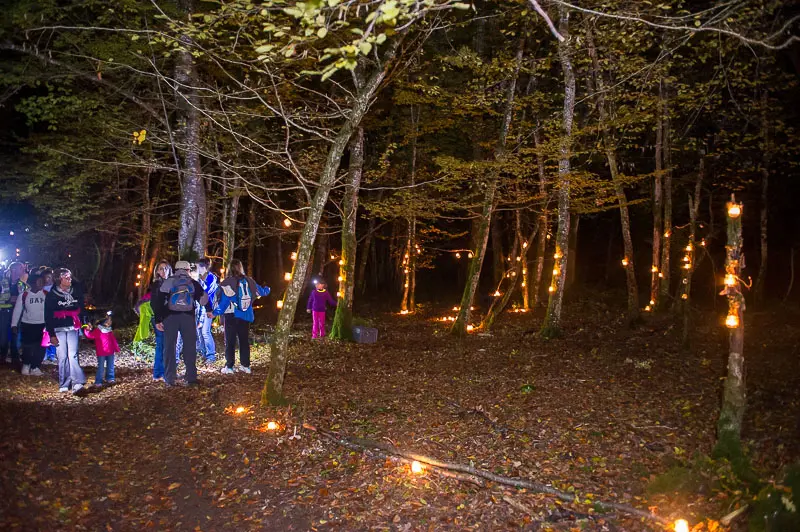 Ronde des sangliers à Saint Martin du Fresne