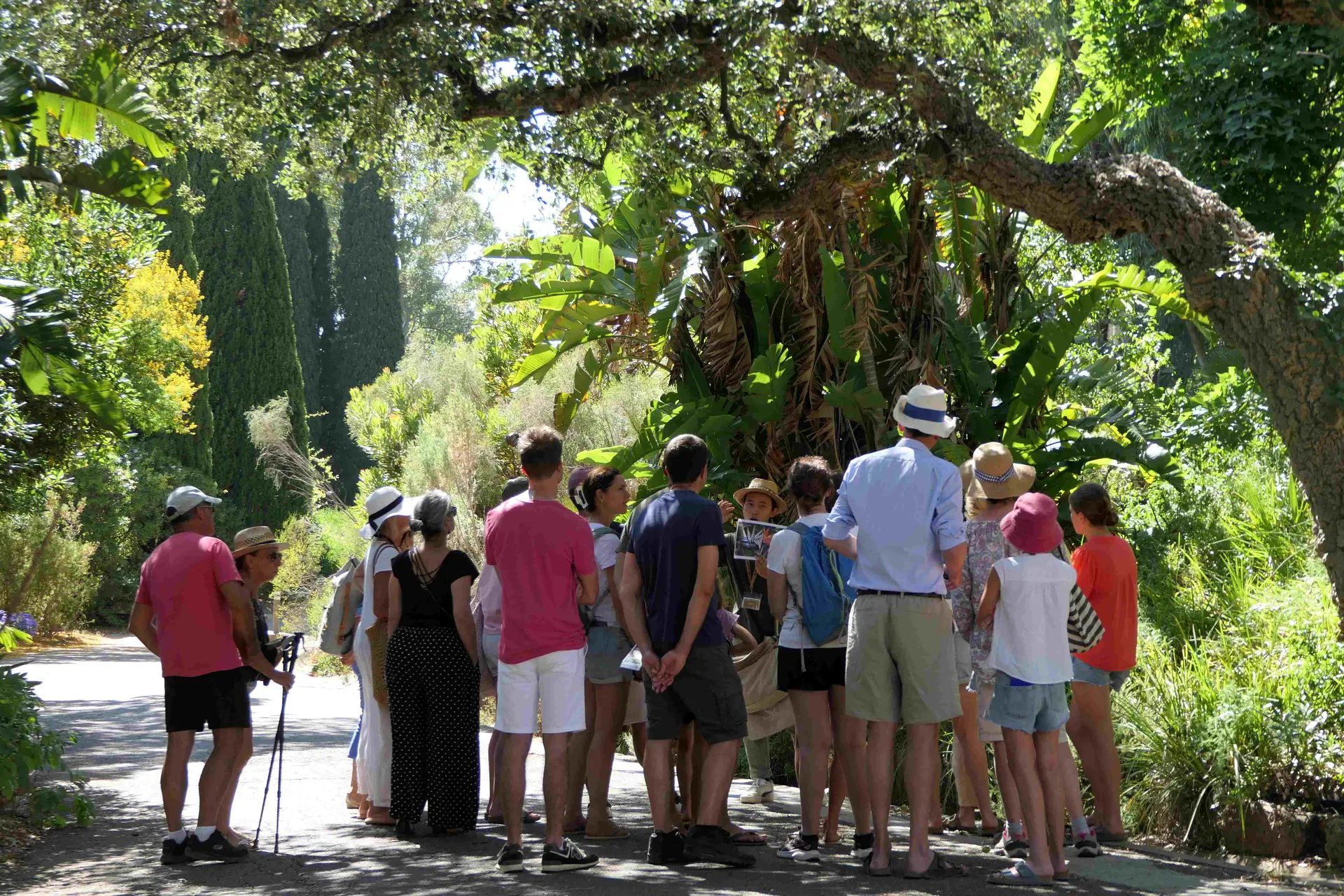 Visite guidée du Jardin des Méditerranées