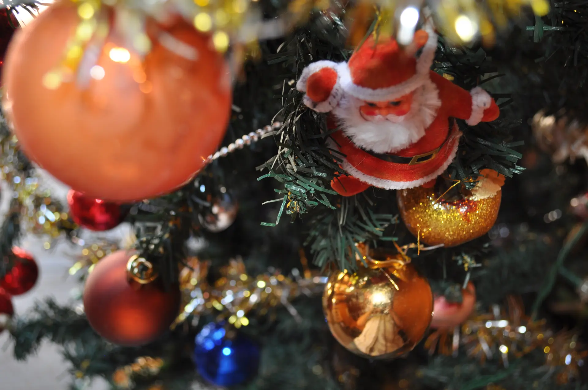 Les Festivités de Noël en Méditerranée Porte des Maures