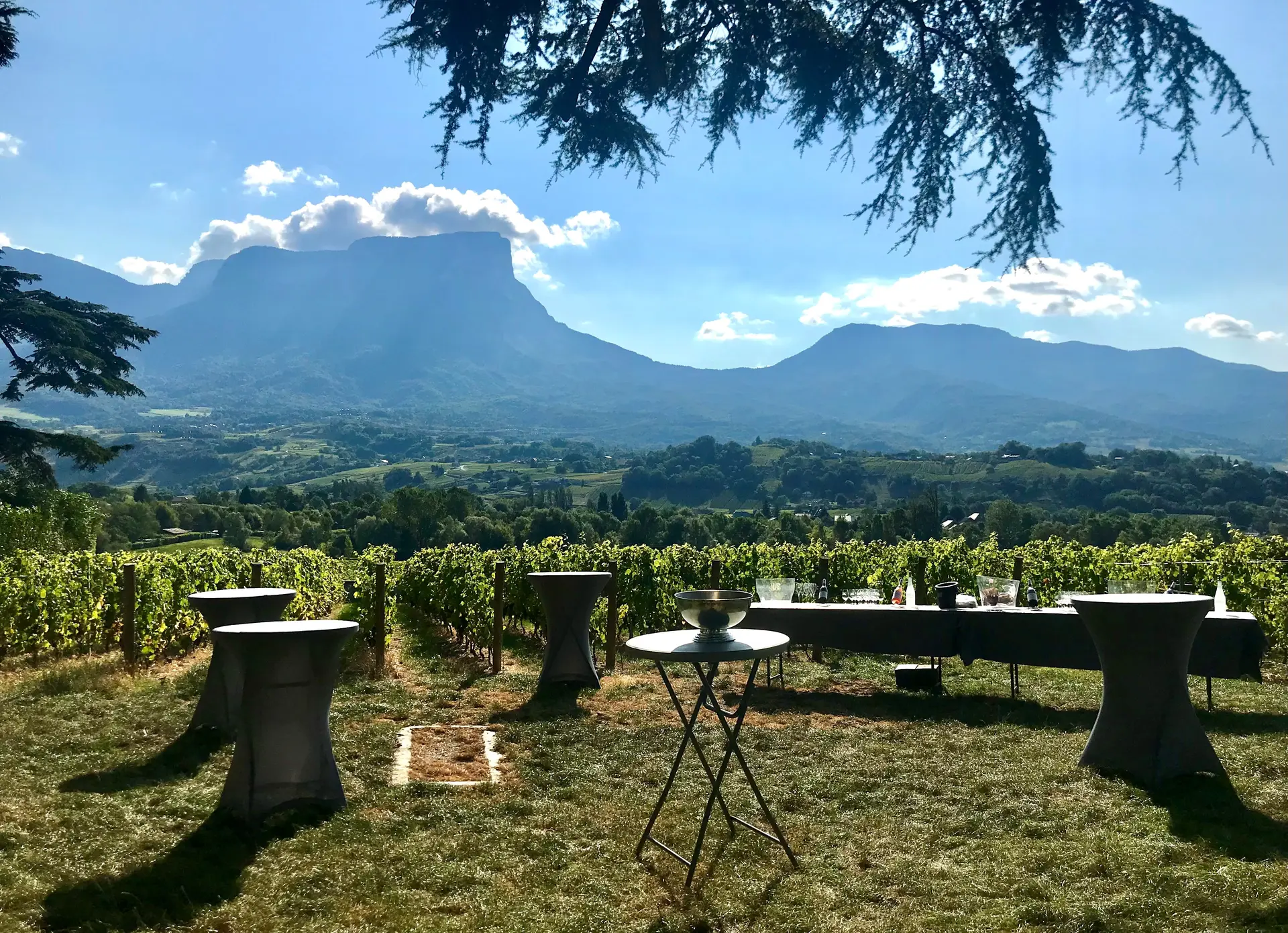 Apero Vigne