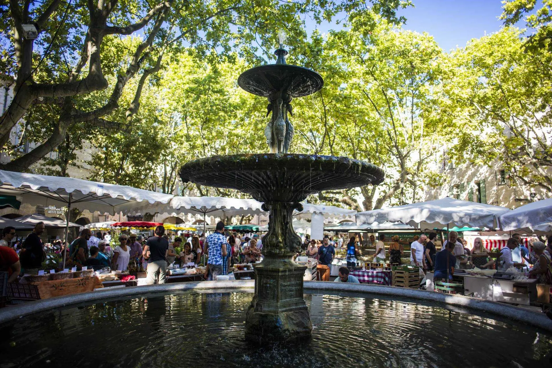 Place aux herbes samedi