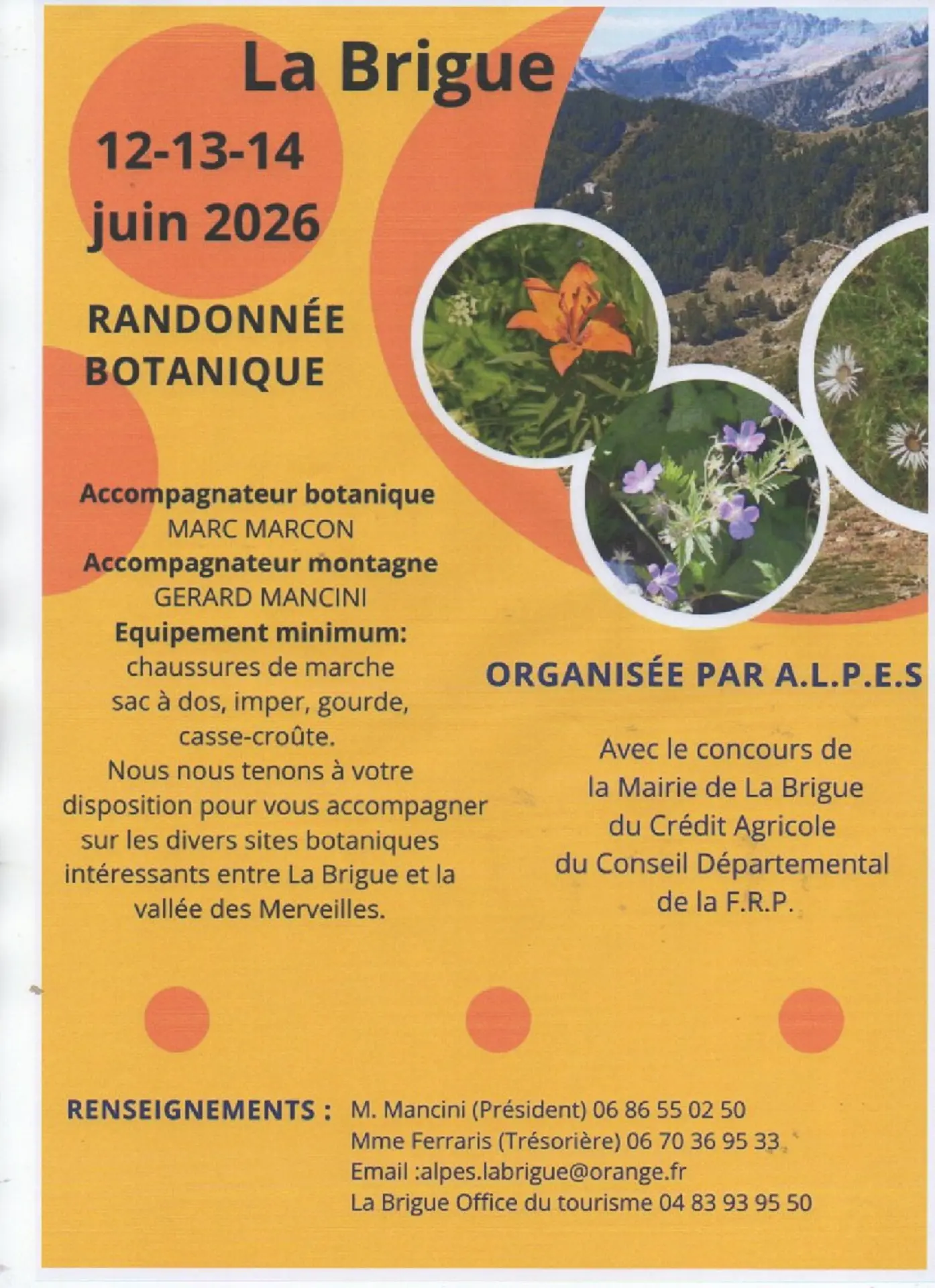 Affiche Stage Botanique