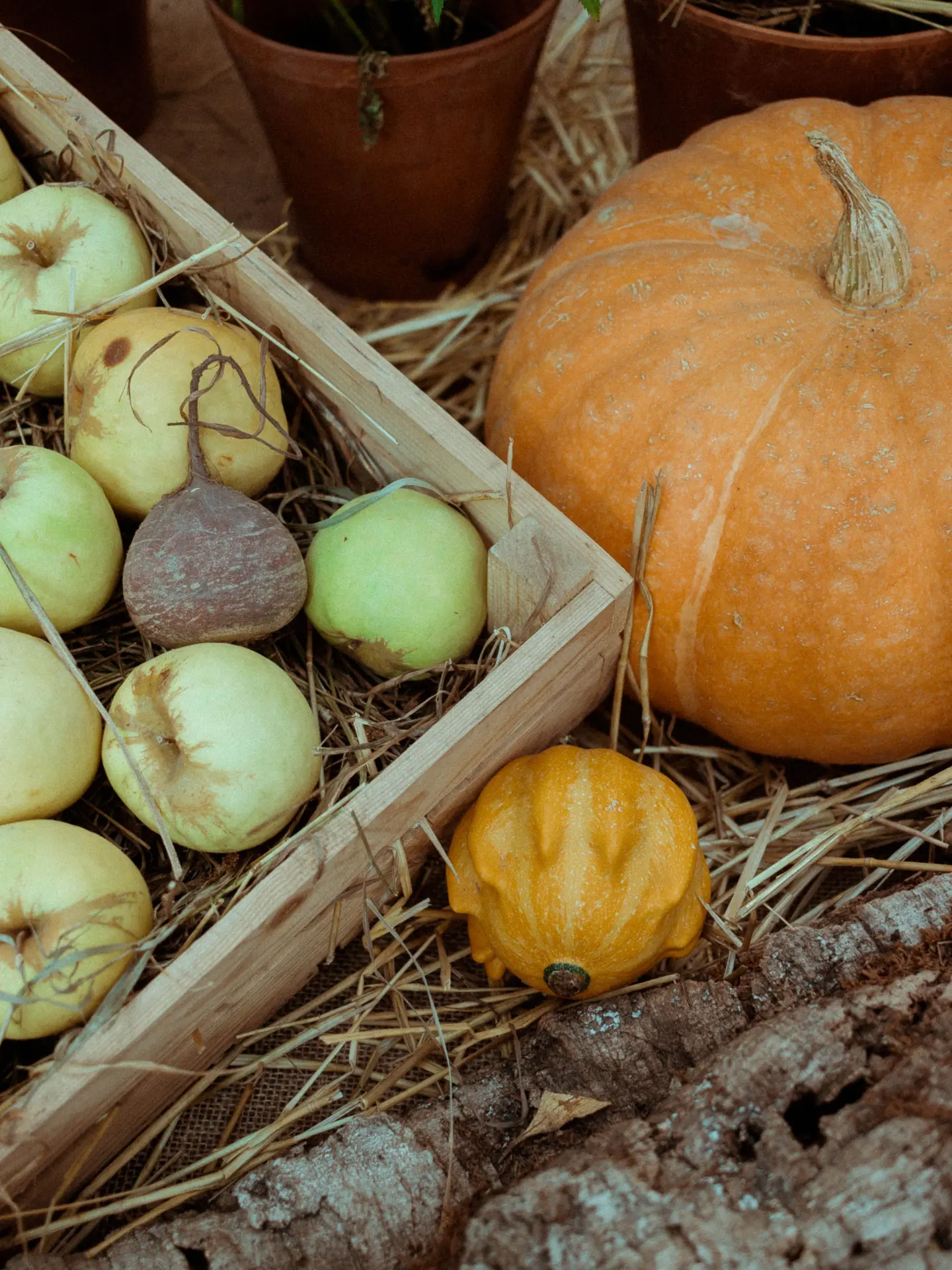 Image d'automne