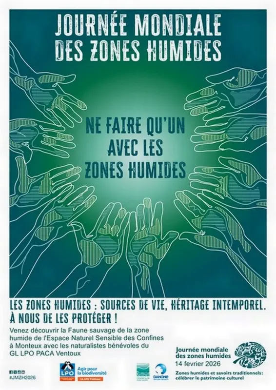 Journée Mondiale des Zones Humides avec le GL Ventoux_Monteux