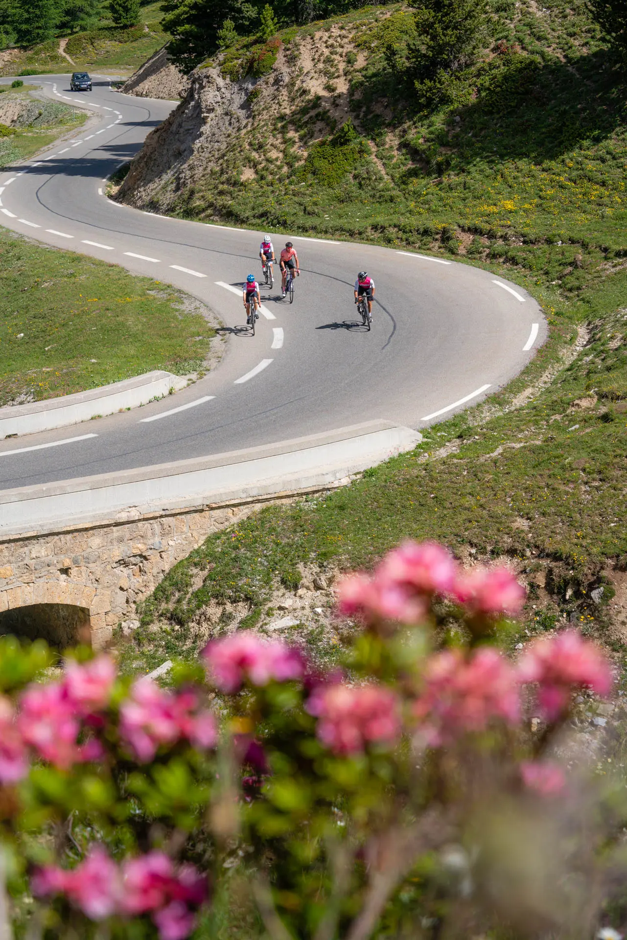 Sur la route du col de l'Izoard en vélo de route