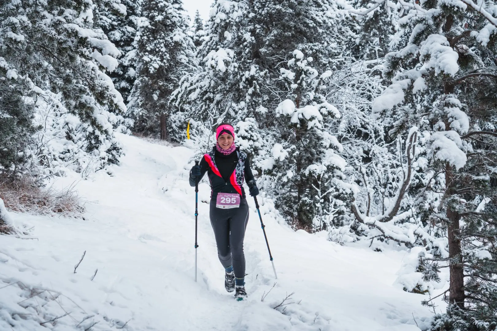 Devol'ice Trail - Trail blanc dans Le Dévoluy