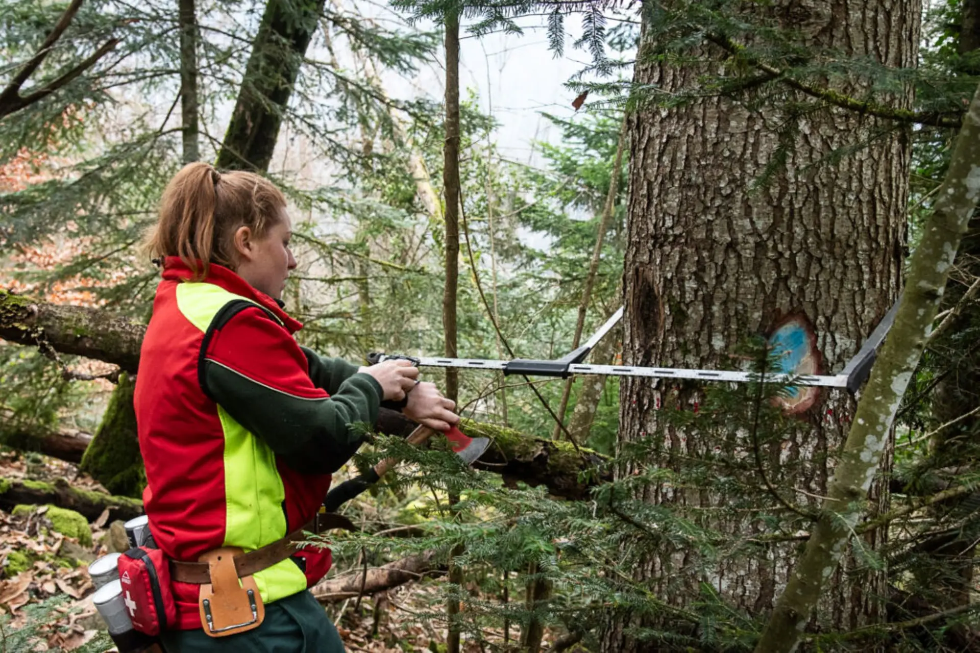 Vis ma vie de Forestier