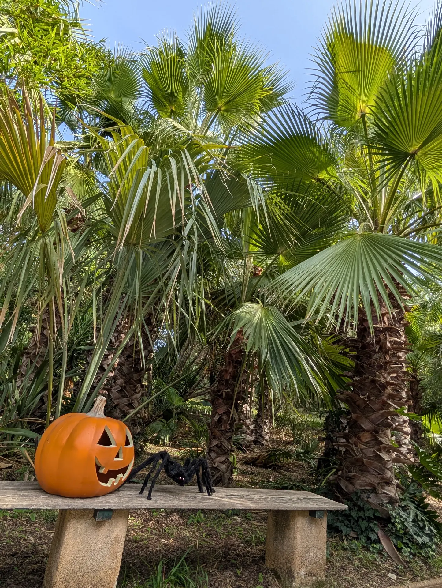 Visite guidée du Jardin Zoologique Tropical à La Londe les Maures