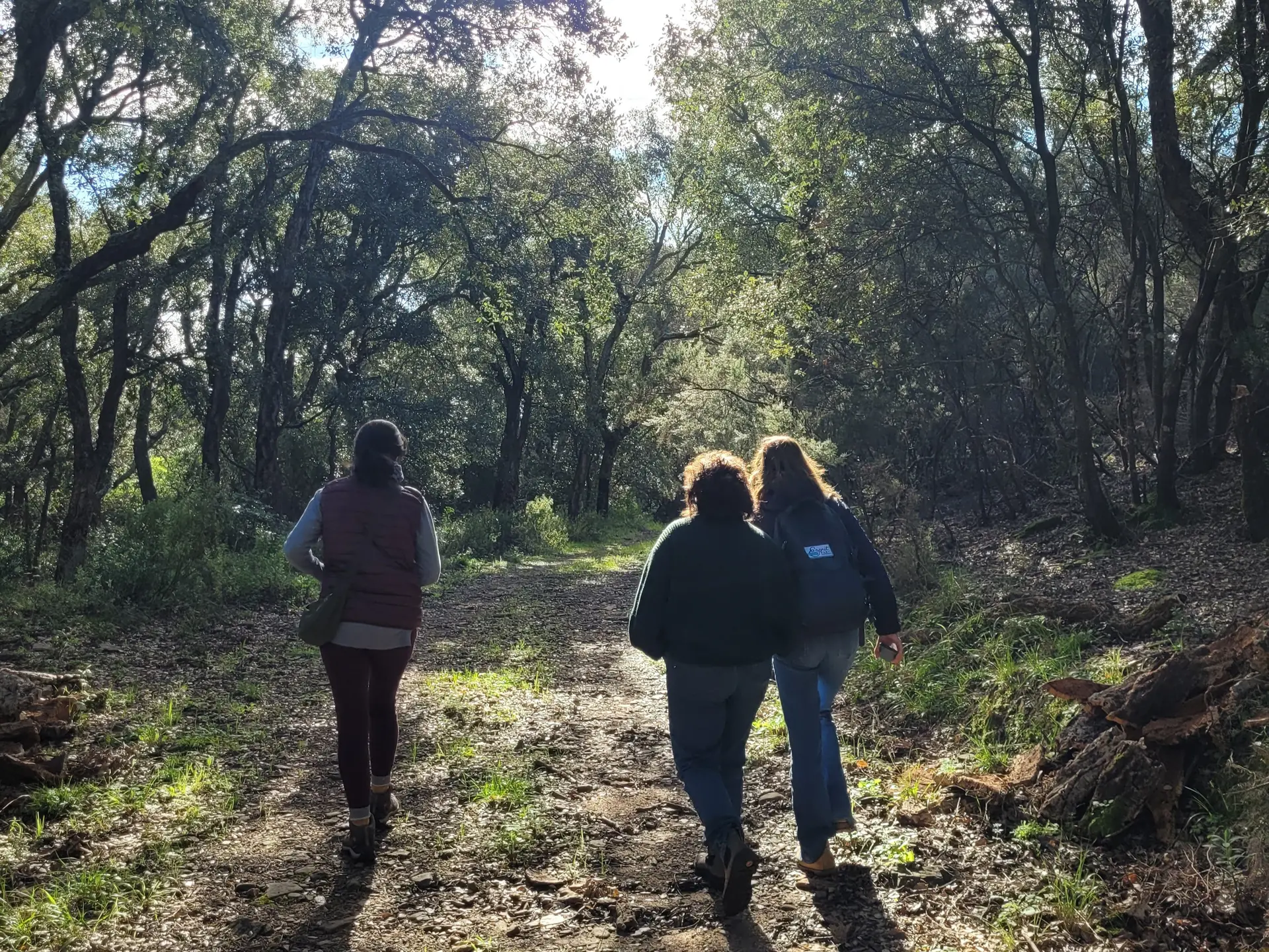 Immersion en forêt au Domaine de la Portanière à Collobrières