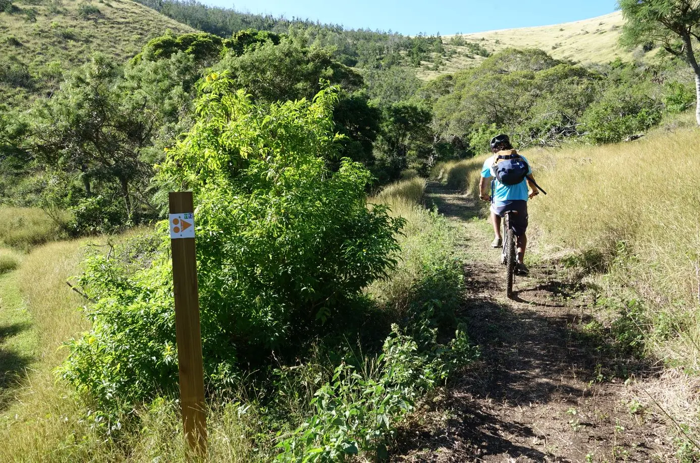Un des chemins en VTT