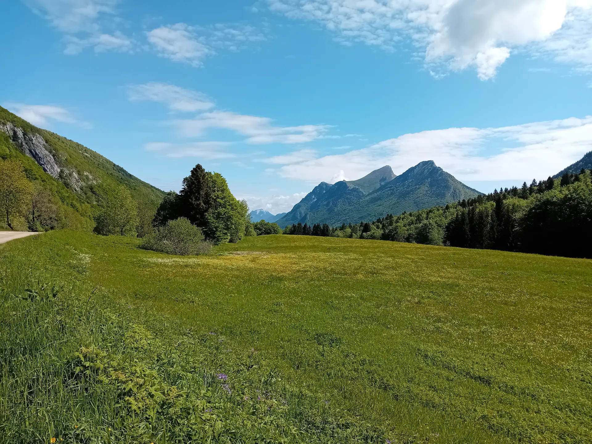 Zones humides du col des Prés
