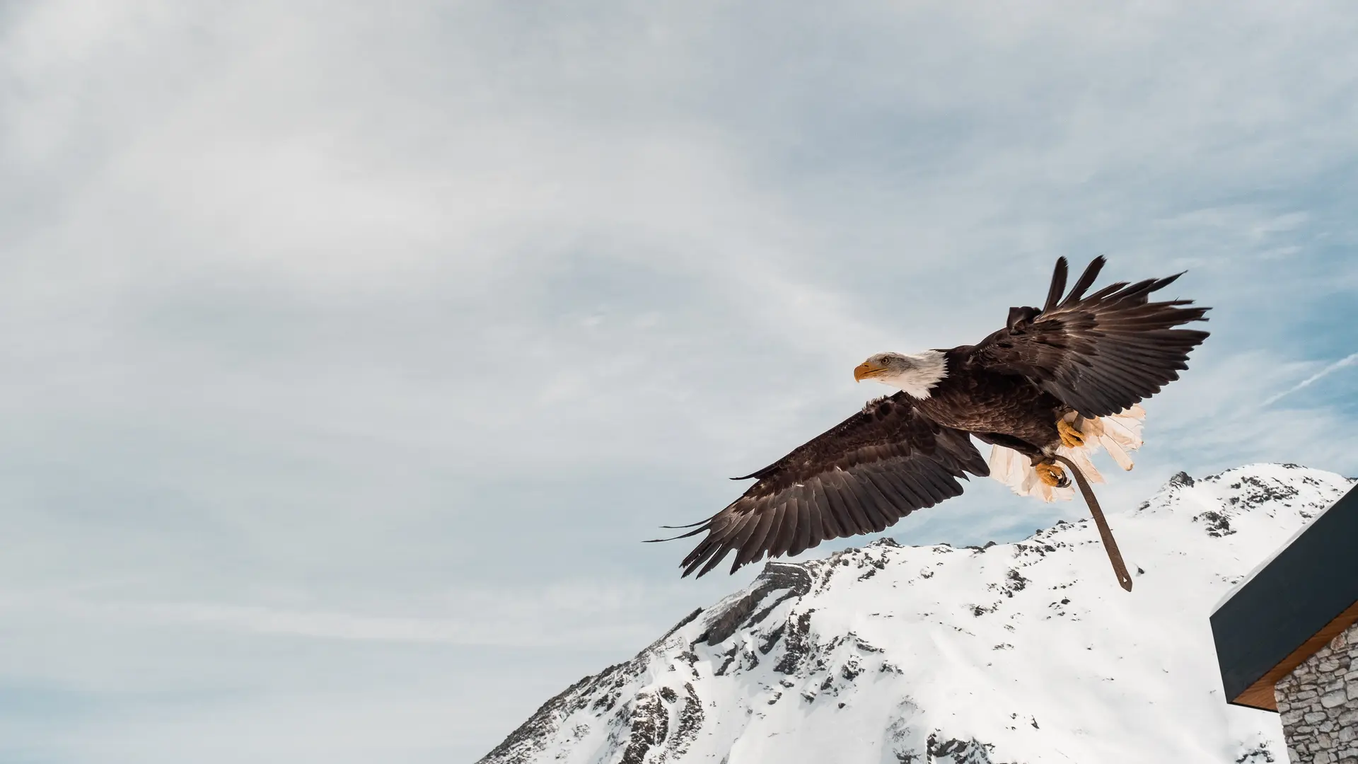 Les Aigles de Val d’Isère_Val-d'Isère