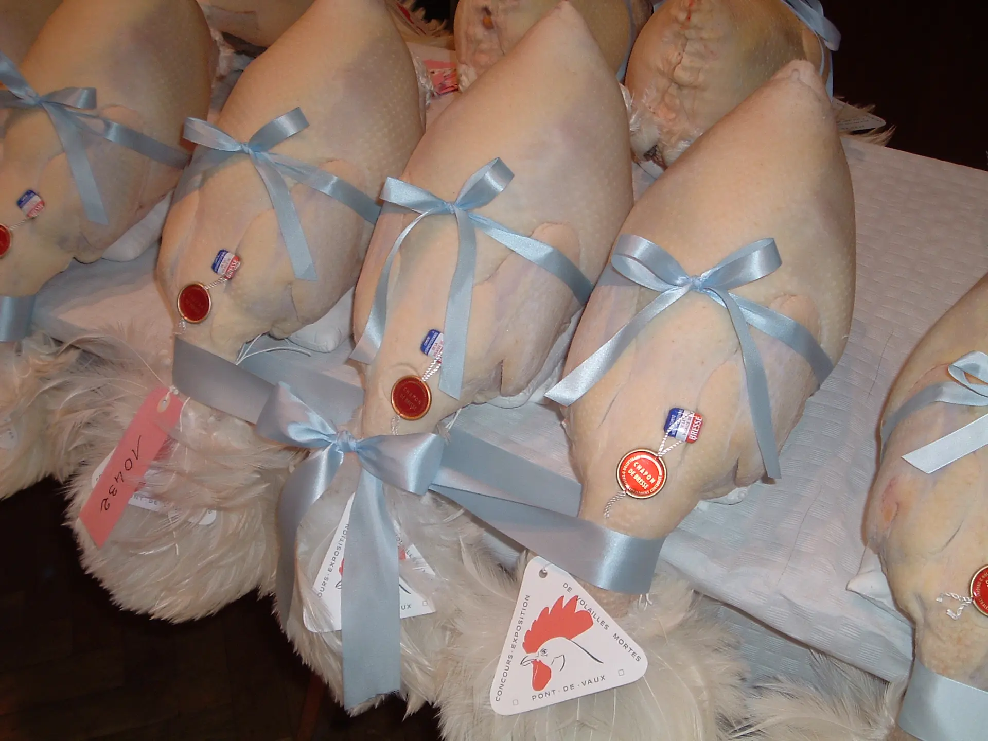 Lot de 3 chapons