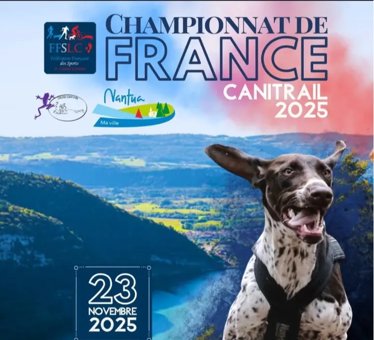 Championnat de France Canitrail_Nantua