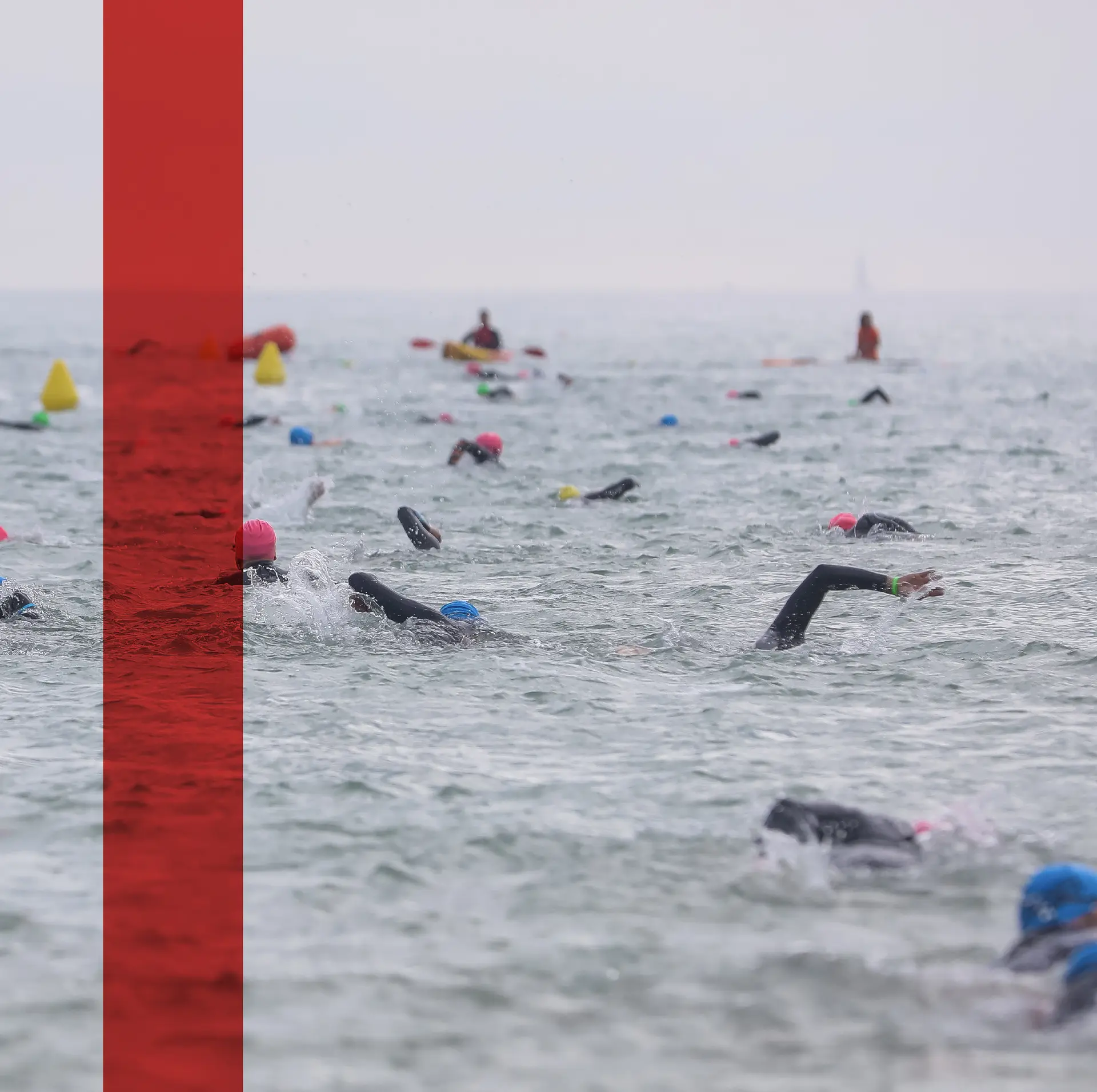 Natation