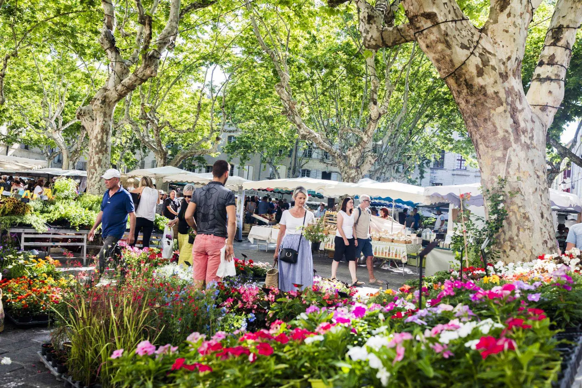Place aux herbes samedi