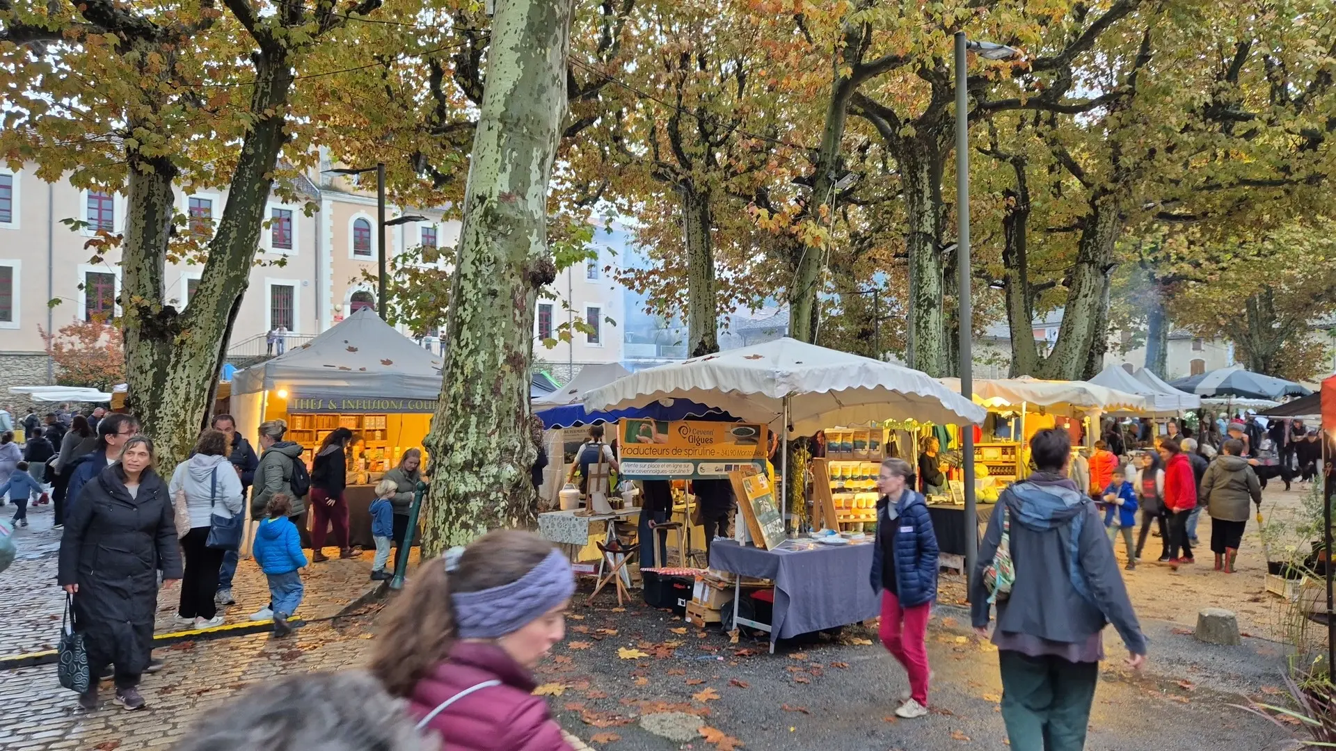 Fête de la chataigne