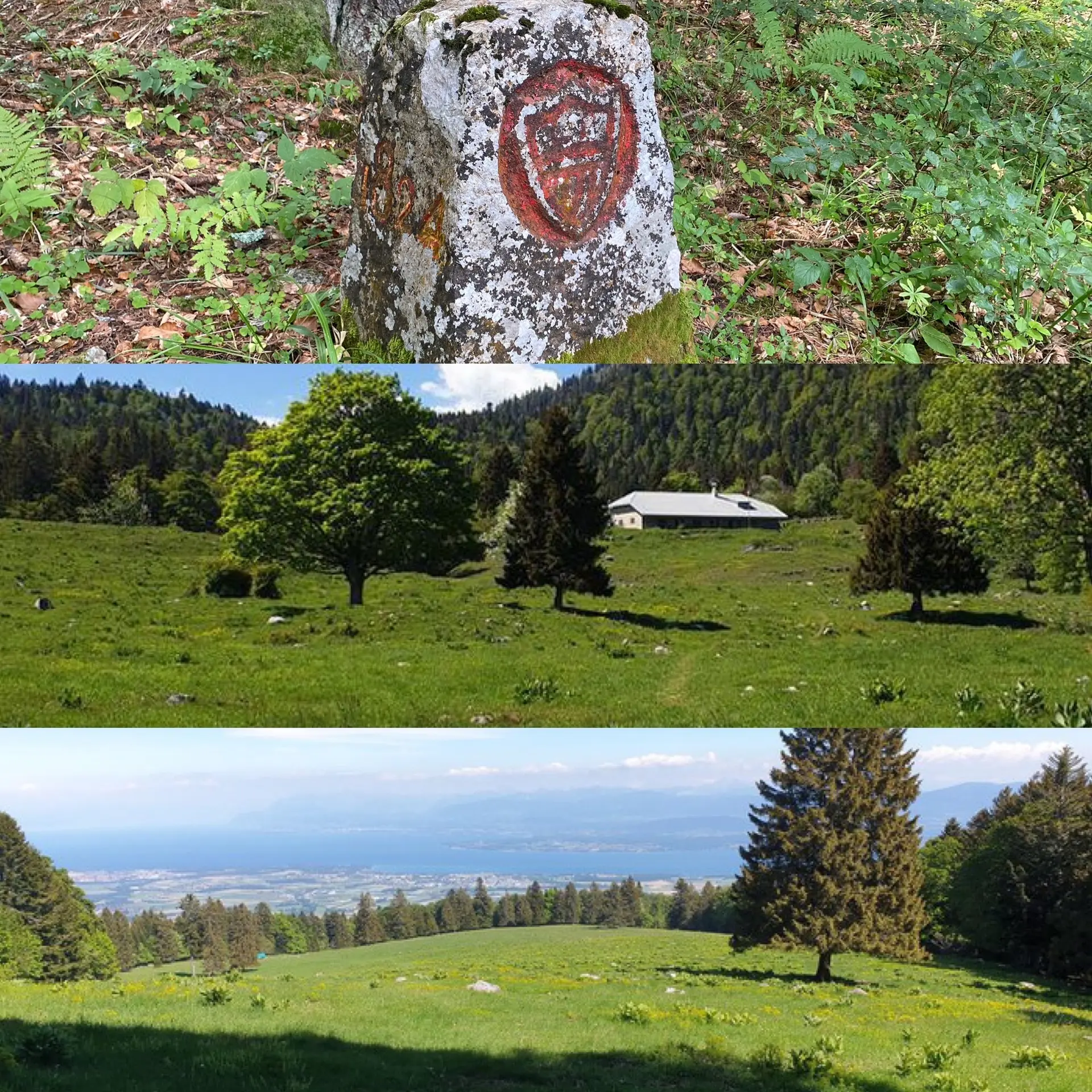 Rando Montagne avec Rose-May Halbout : Combe du Faoug_Divonne-les-Bains