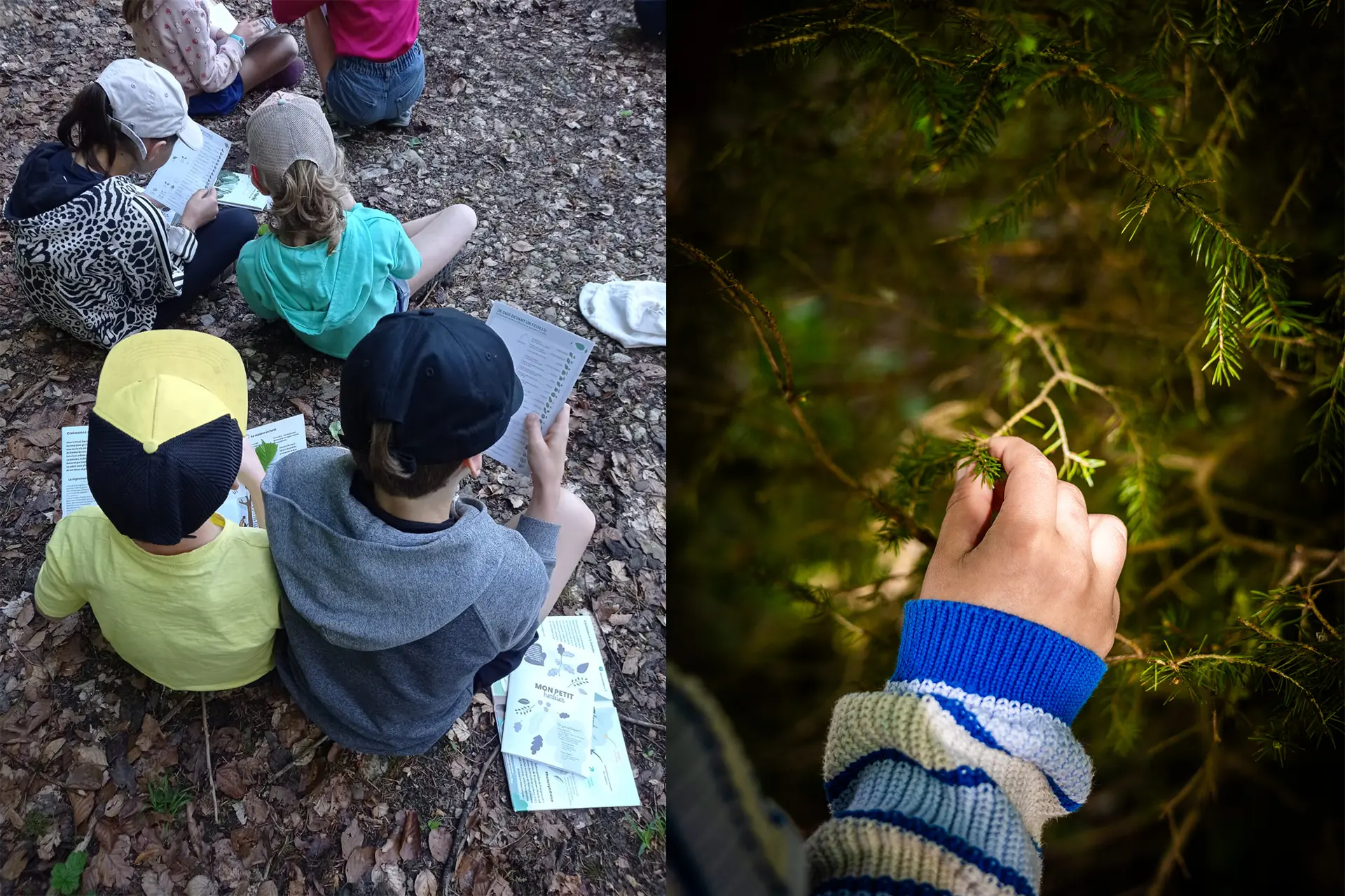 Atelier Nature en Famille La Forêt au Printemps - Semaine Famille +_Thônes