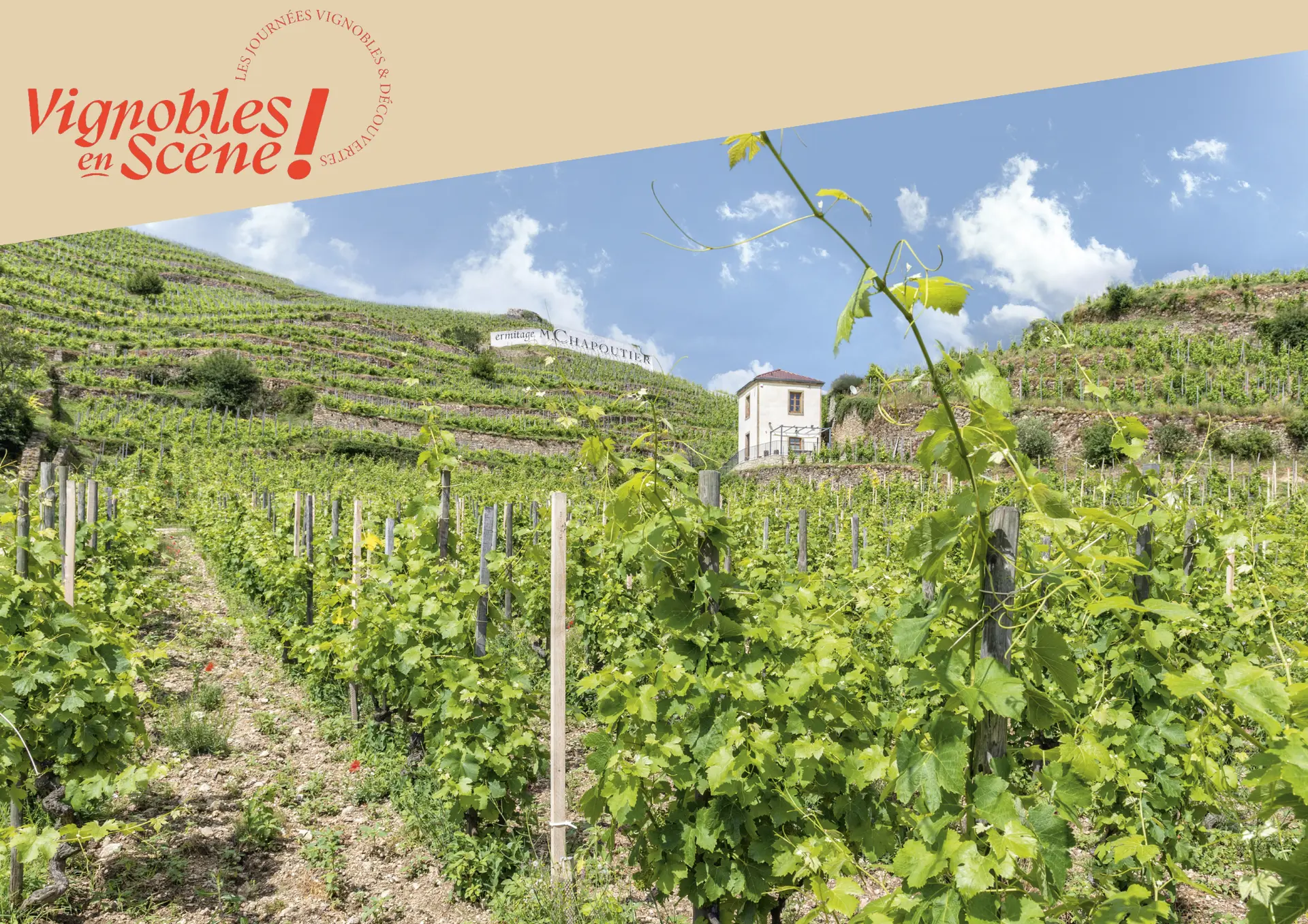 Vignoble de la Maison M.CHAPOUTIER