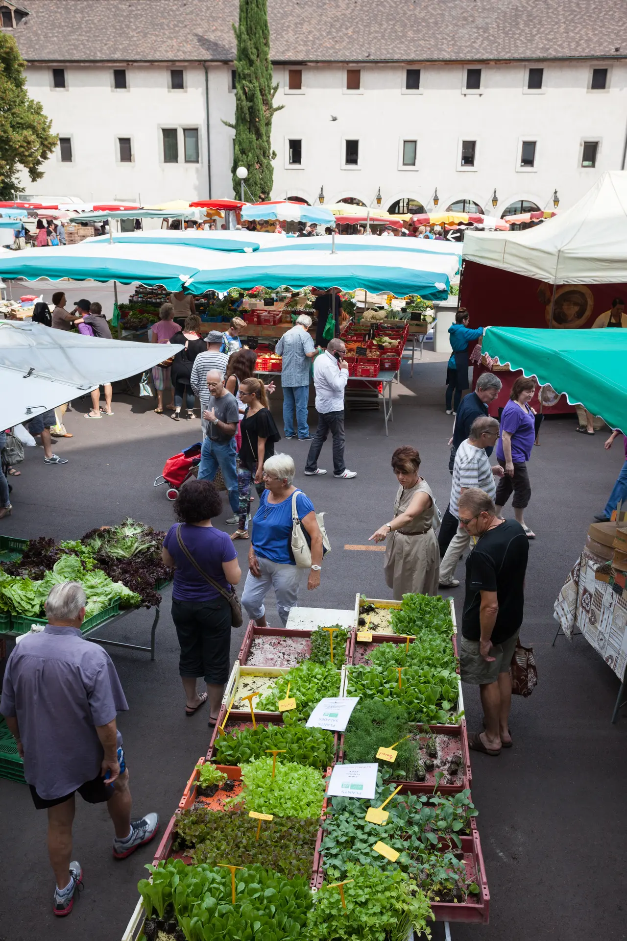 Photo marché