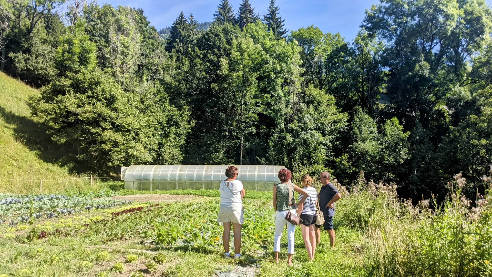 Potager du Toî du Monde