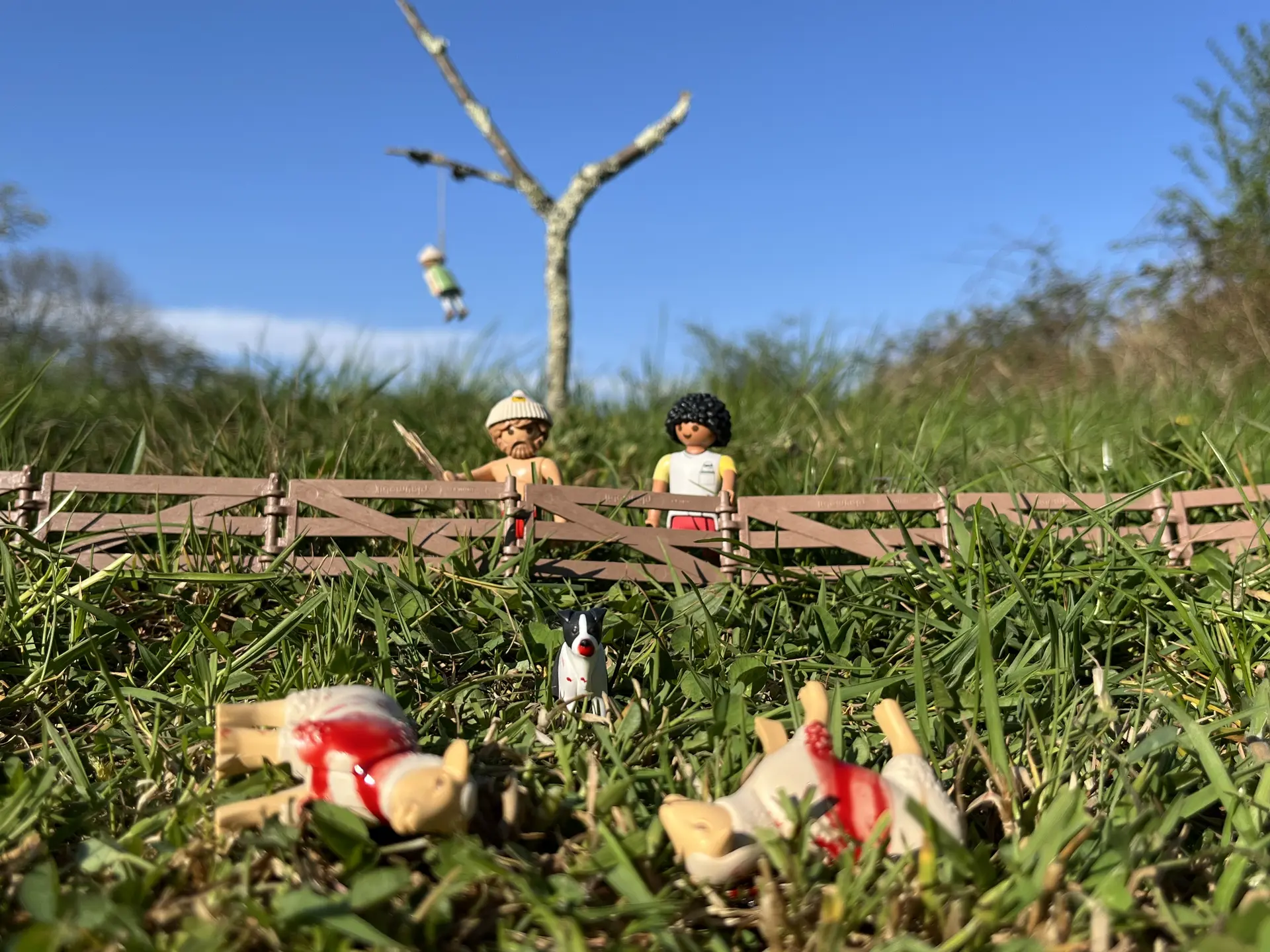 3 - Foutue bergerie © Pierre Guillois