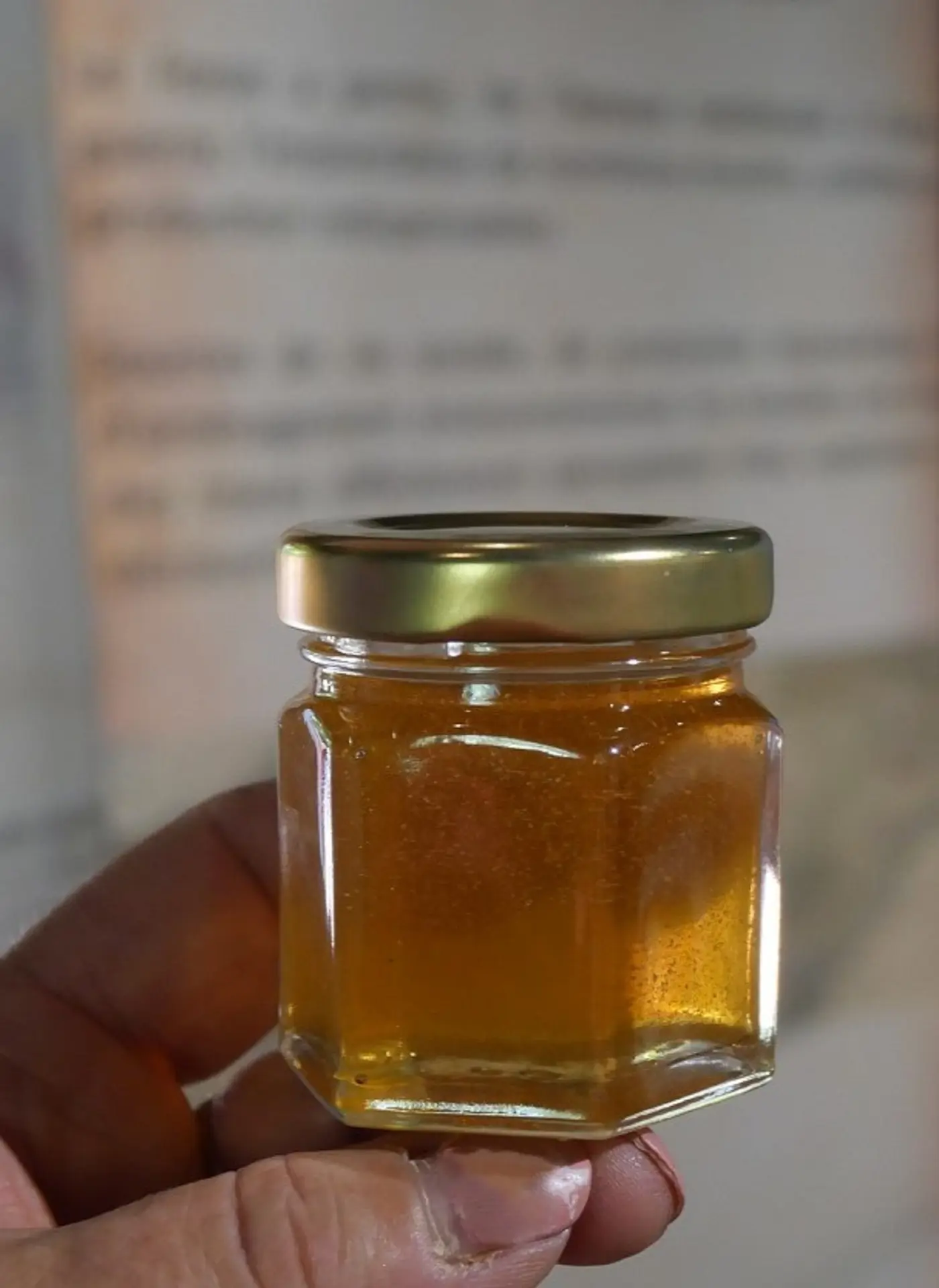 Un rêve d'abeilles Moulin de Carra_Ville-la-Grand